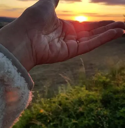 Ahrtal Vier Sterne Alexandra Weiler Harmonie *