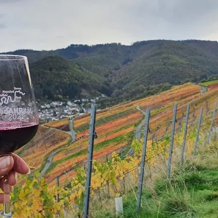 Ahrtal Vier Sterne Alexandra Weiler Harmonie * Bad Neuenahr-Ahrweiler