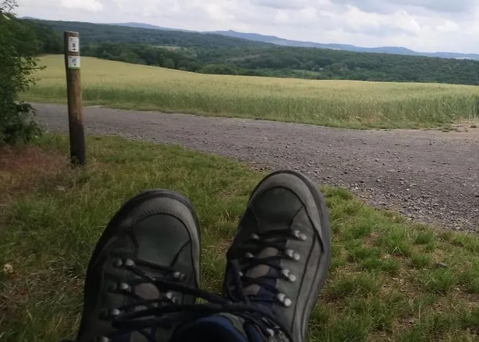 Ahrtal Vier Sterne Alexandra Weiler Harmonie Bad Neuenahr-Ahrweiler