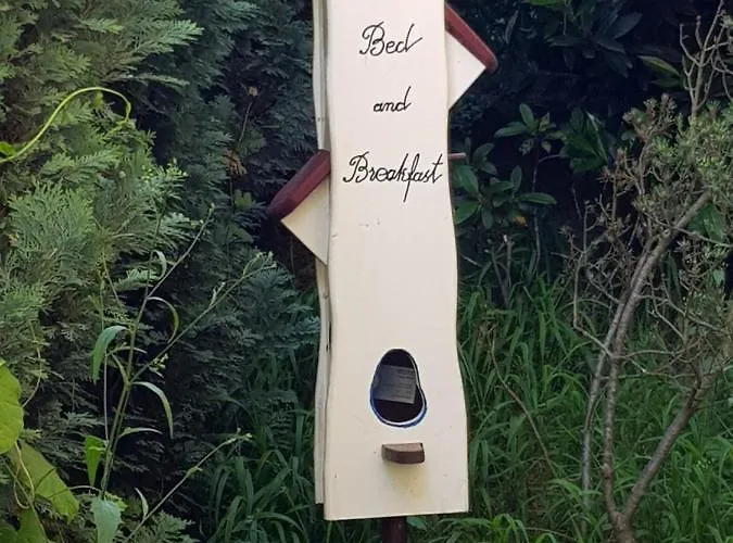 Lejlighed Ahrtal Vier Sterne Alexandra Weiler Harmonie Bad Neuenahr-Ahrweiler