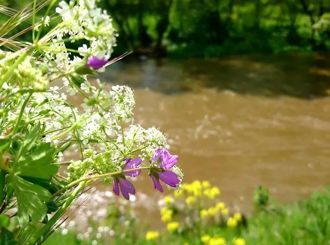 Apartment Ahrtal Vier Sterne Alexandra Weiler Harmonie Bad Neuenahr-Ahrweiler
