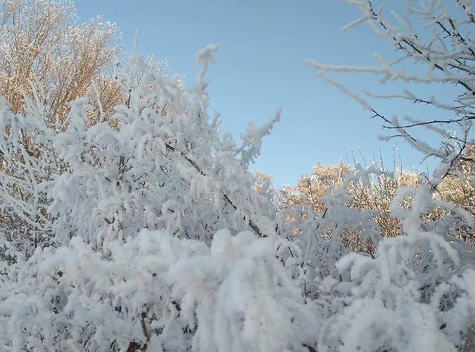 Apartment Ahrtal Vier Sterne Alexandra Weiler Harmonie