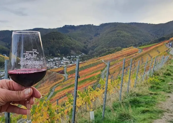 Ahrtal Vier Sterne Alexandra Weiler Harmonie * Bad Neuenahr-Ahrweiler
